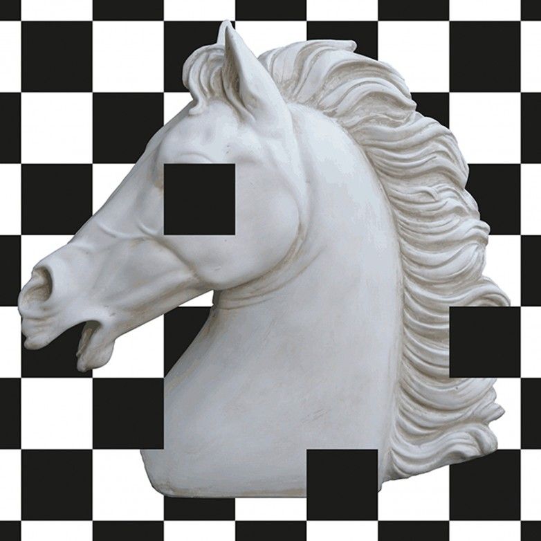 HORSE FRAME